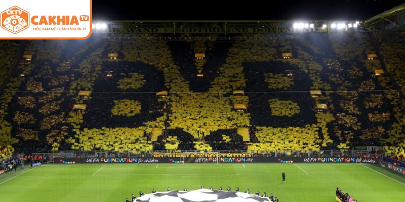 “Bức tường vàng” quyết định đến phong độ đội bóng